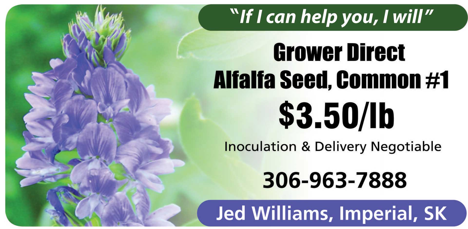 Jed Williams alfalfa seed