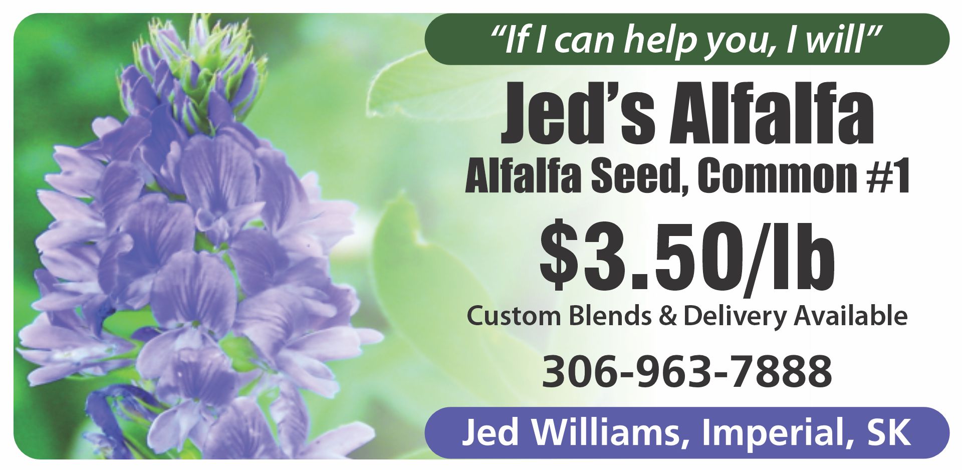 Jed Williams alfalfa seed