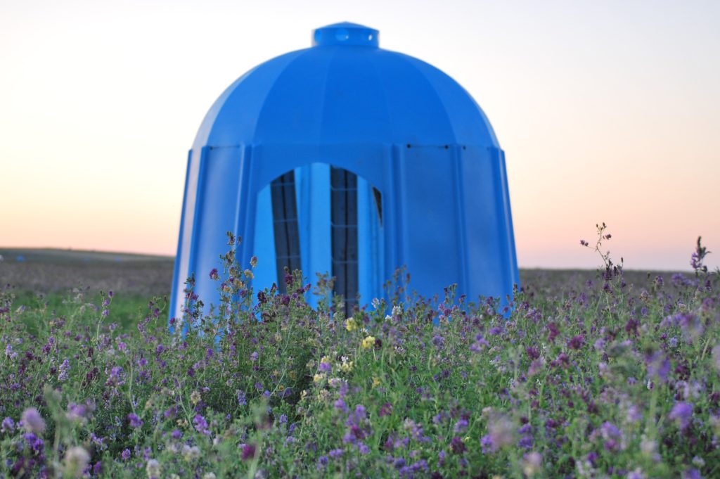 Bee Hive sitting on Alfalfa Crop for Jed's Alfalfa